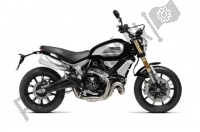 Todas las piezas originales y de repuesto para su Ducati Scrambler 1100 Thailand 2019.